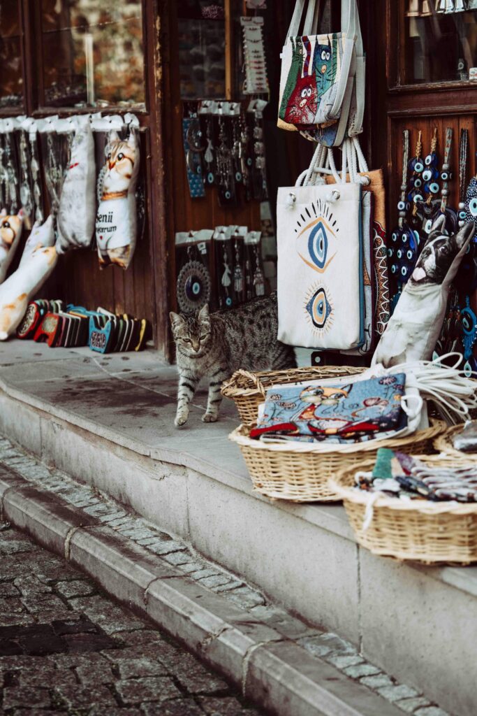 Charming street scene in Ankara, Turkey, featuring a traditional shop display with a local cat.